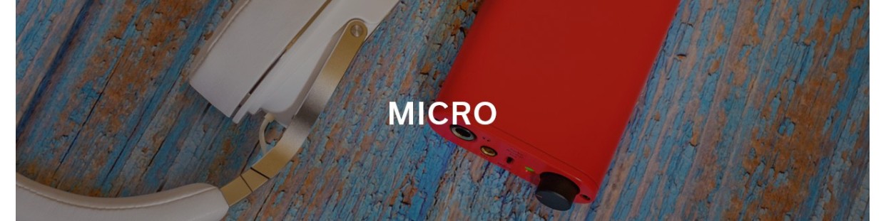 IFI-micro